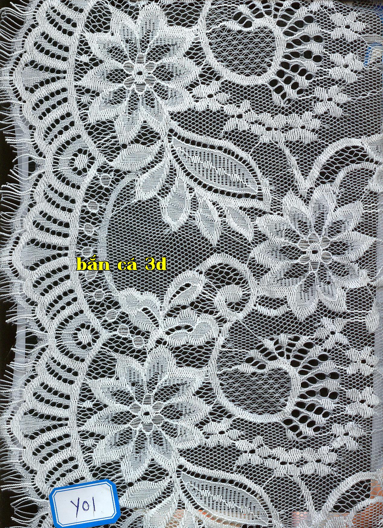 Y01